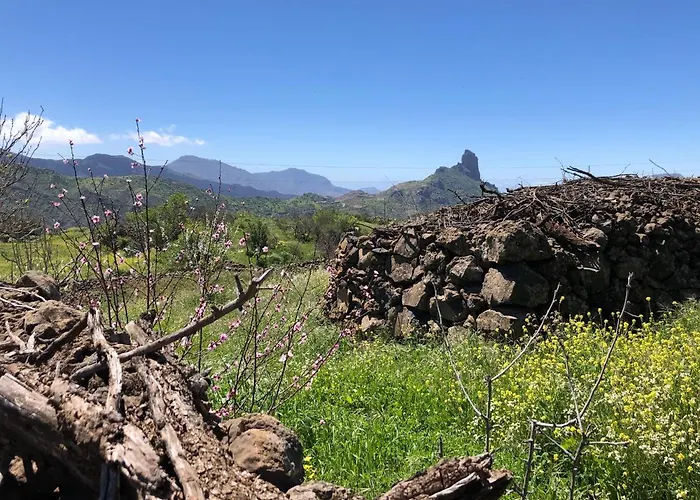 Casa-Finca El Maipez De Tejeda