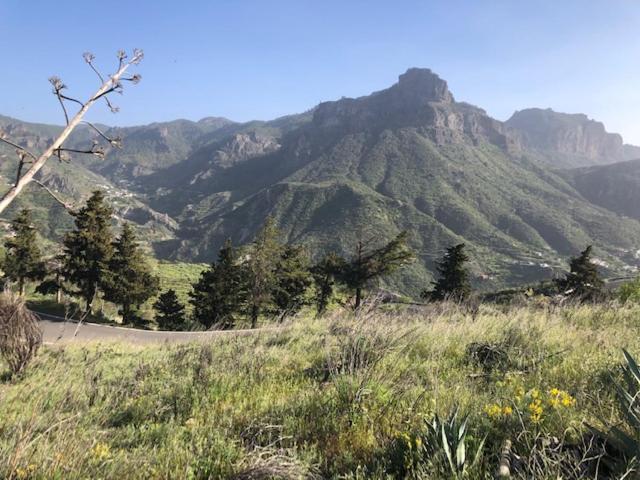 Hébergement de vacances Casa-finca El Maipez De Tejeda