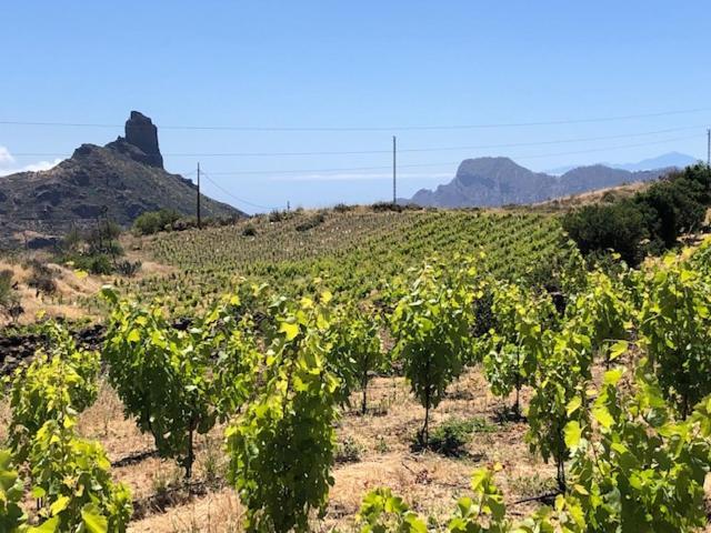 Casa-finca El Maipez De Tejeda Hébergement de vacances *